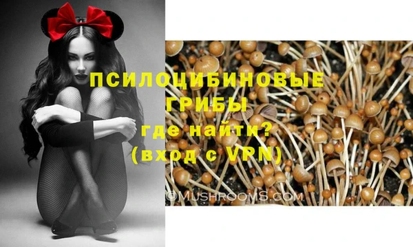 твердый Алзамай